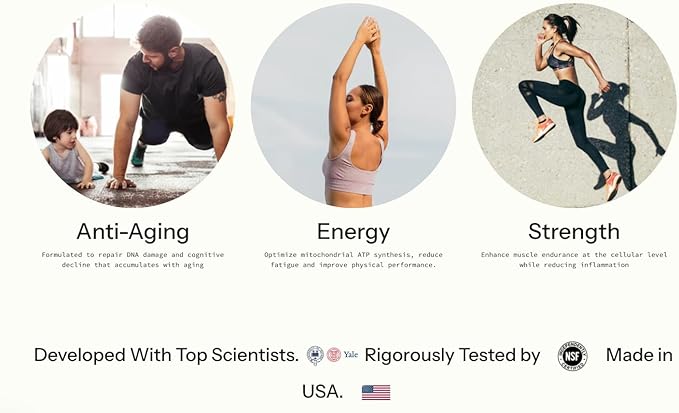 Longevity + Energy - Supplements with Rhodiola Rosea, TMG & Theacrine, Maximize Strength & Recovery, NAD+ Supplement, PQQ for Anti-Aging, 60 Capsules