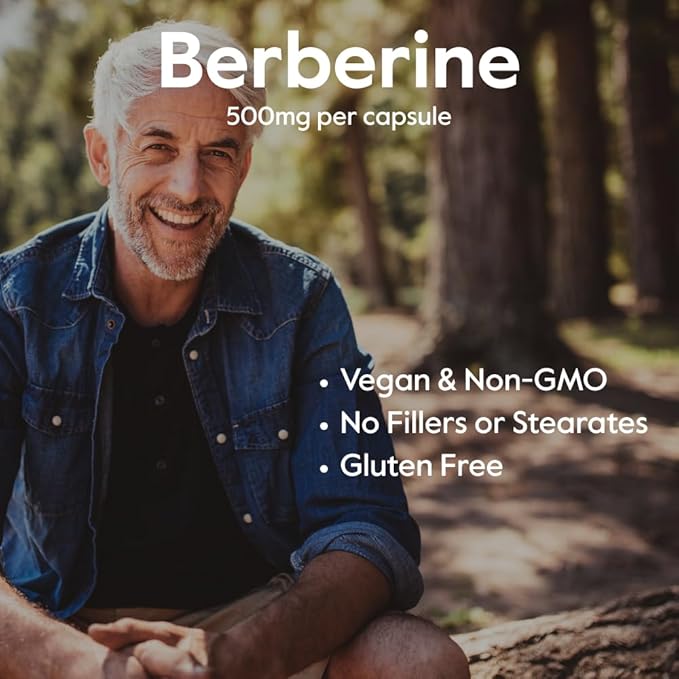Berberine 500mg (240 Vegetarian Capsules) (2-Pack) - No Fillers - No Stearates - No Flow Agents - Vegan - Gluten Free - Non GMO
