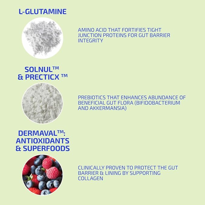 Prebiotics for Digestive Health & Immune System Support – Dietary Fibers, Antioxidants & Superfoods for Gut Barrier Strength & Gut Microbiome Balance | 30-Day Supply | Codex Labs BIA GutBuilder