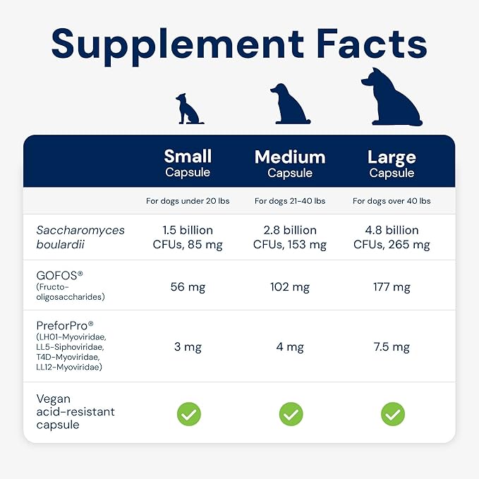 Dog Probiotics - GMP Prebiotics and Probiotics - Reduce Diarrhea Flareups - for Dogs 21-40 lbs (60 Capsules) - DoggyBiome