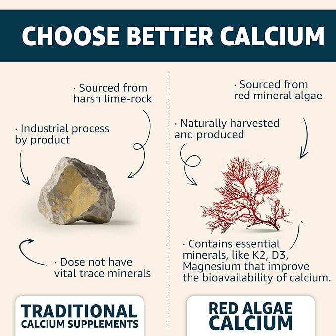 Calcium Gummies 600mg - Calcium Supplement for Women, Ocean Algae Calcium | Vitamin D3, K2, Magnesium | for Bone Strength, Muscle & Immnue | Sustainably Sourced Algae Calcium, 70+ Mineral, Vegan,2PACK