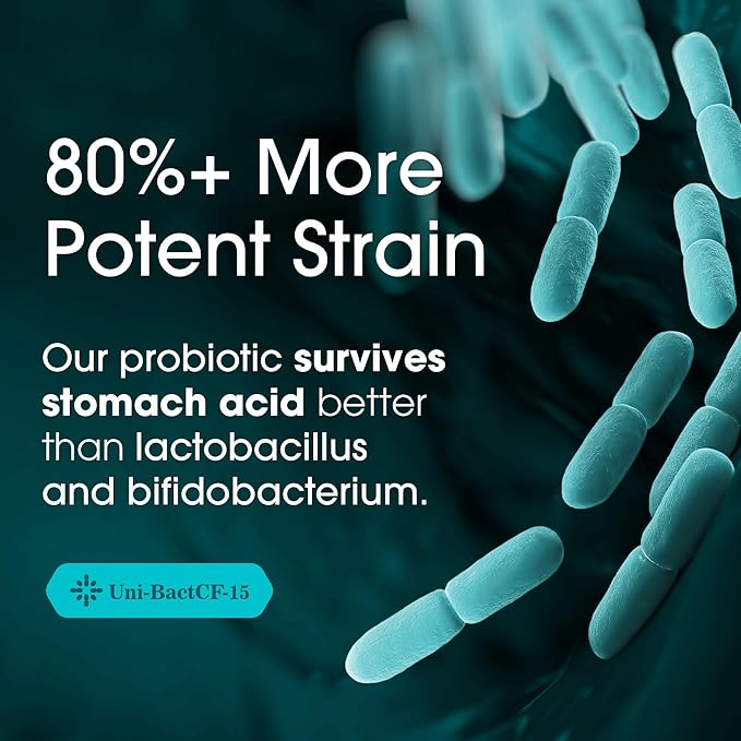 Nutrition Essentials Probiotics for Women and Men with Natural Lactase Enzyme & Prebiotic Fiber for Digestive Health - 80percent + Stronger Supplement for Gut Health Support - 3 Count of 60 Tablets