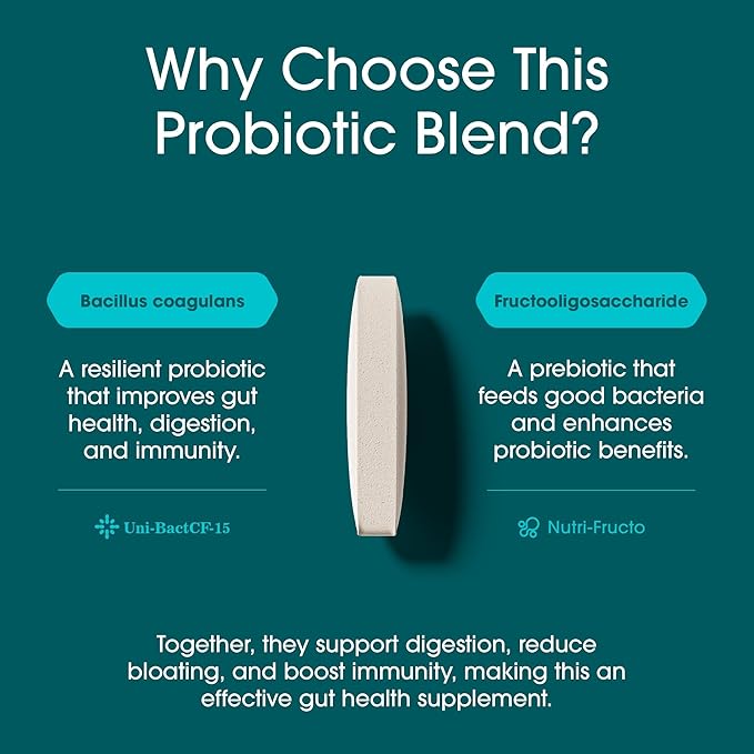 Nutrition Essentials Probiotics for Women and Men with Natural Lactase Enzyme & Prebiotic Fiber for Digestive Health - 80percent + Stronger Supplement for Gut Health Support - 3 Count of 60 Tablets