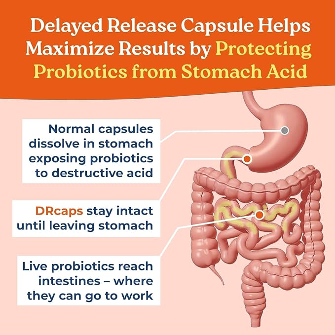 NatureCity True-Life-PB Shelf Stable Blend Prebiotics and Probiotics for Women and Men - Digestive Gut Health Supplements for Women and Men - Dairy Free - (60 Veggie Capsules)