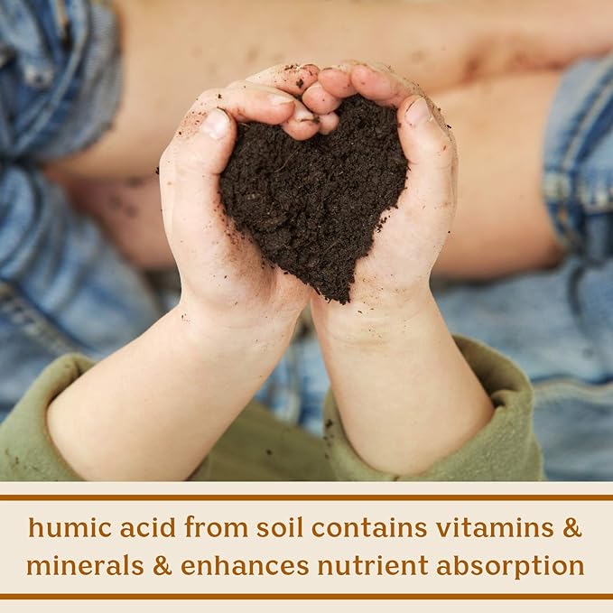 Feel Good SBO Probiotics — Soil Based Organisms (SBOs), Prebiotics, Postbiotics, Humic Acid, Shilajit, Chaga & Turkey Tail Mushroom for Digestion — Solluna by Kimberly Snyder (60CT) Vegan & Non-GMO
