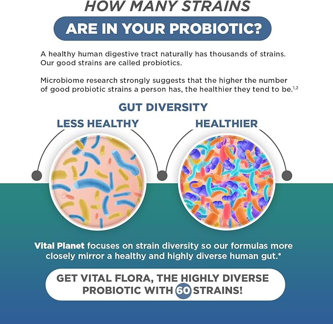 Vital Planet - Vital Flora Ultra Daily Probiotic 60 Billion CFU, 60 Diverse Strains, 7 Organic Prebiotics, Immune Support, Digestive Health Shelf Stable Probiotics for Women and Men 30 Capsules