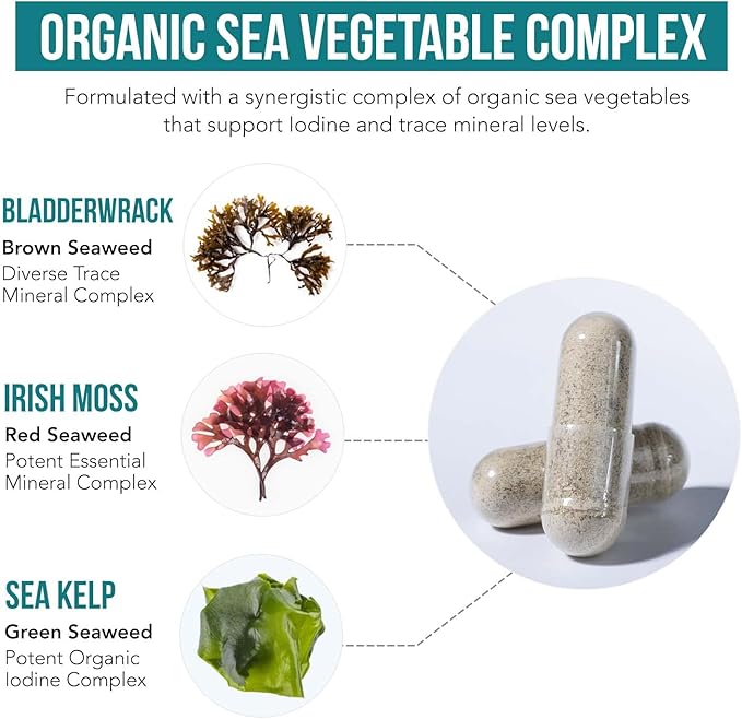 Organic Iodine Supplement – 1,500 mcg Iodine, Max Strength - from Sea Vegetable Complex, Whole Food & Raw Form – Contains Purest Icelandic Sea Kelp, Irish Moss & Bladderwrack (1500 mcg)