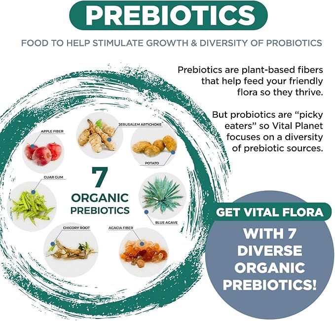 Vital Planet - Vital Flora Ultra Daily Probiotic 60 Billion CFU, 60 Diverse Strains, 7 Organic Prebiotics, Immune Support, Digestive Health Shelf Stable Probiotics for Women and Men 30 Capsules