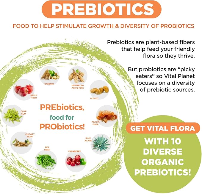 Vital Planet - Vital Flora Advanced Biome Probiotic 100 Billion CFU, 100 Diverse Strains, 10 Organic Prebiotics, Immune Support, Colon and Digestive Health Probiotics for Women and Men 30 Capsules