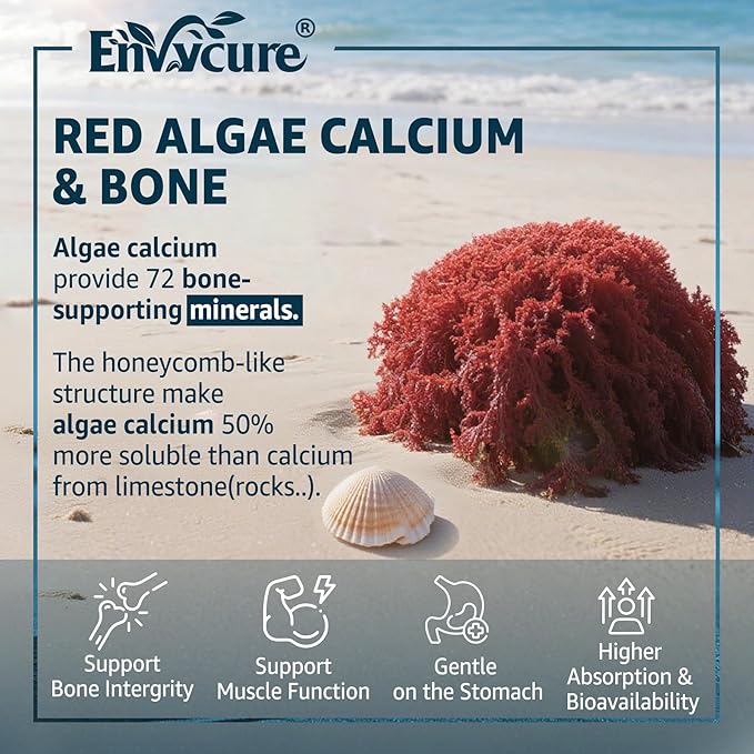 Calcium Gummies 600mg - Calcium Supplement for Women, Ocean Algae Calcium | Vitamin D3, K2, Magnesium | for Bone Strength, Muscle & Immnue | Sustainably Sourced Algae Calcium, 70+ Mineral, Vegan,2PACK