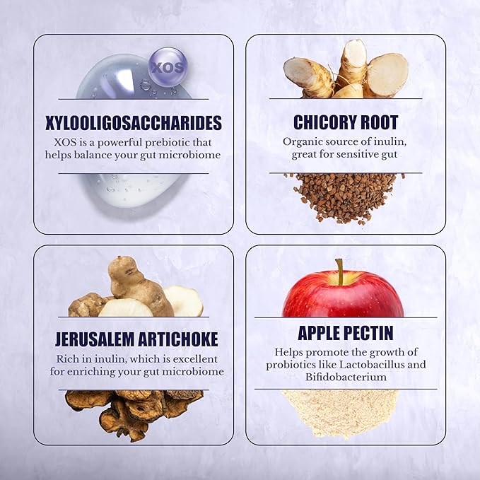 Prebiotics for Digestion, Immunity and Wellness - with Inulin from Jerusalem Artichoke and Chicory Root - Prebiotics for Women & Men, 90 Capsules