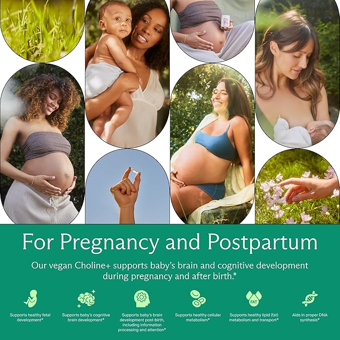 Needed. Prenatal Choline+ Liquid Capsules for Cognitive Development - Choline Supplements For Pregnancy - Aids Baby Brain Development & Supports Healthy Pregnancy - Third Party Tested - 30 Liquid Caps