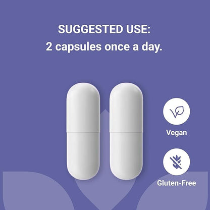 Luma Nutrition Probiotics 60 Billion CFU with Prebiotics - Probiotics for Women and Men - Formulated for Digestive Enzyme Health - Vegan & Gluten-Free - 60 Capsules