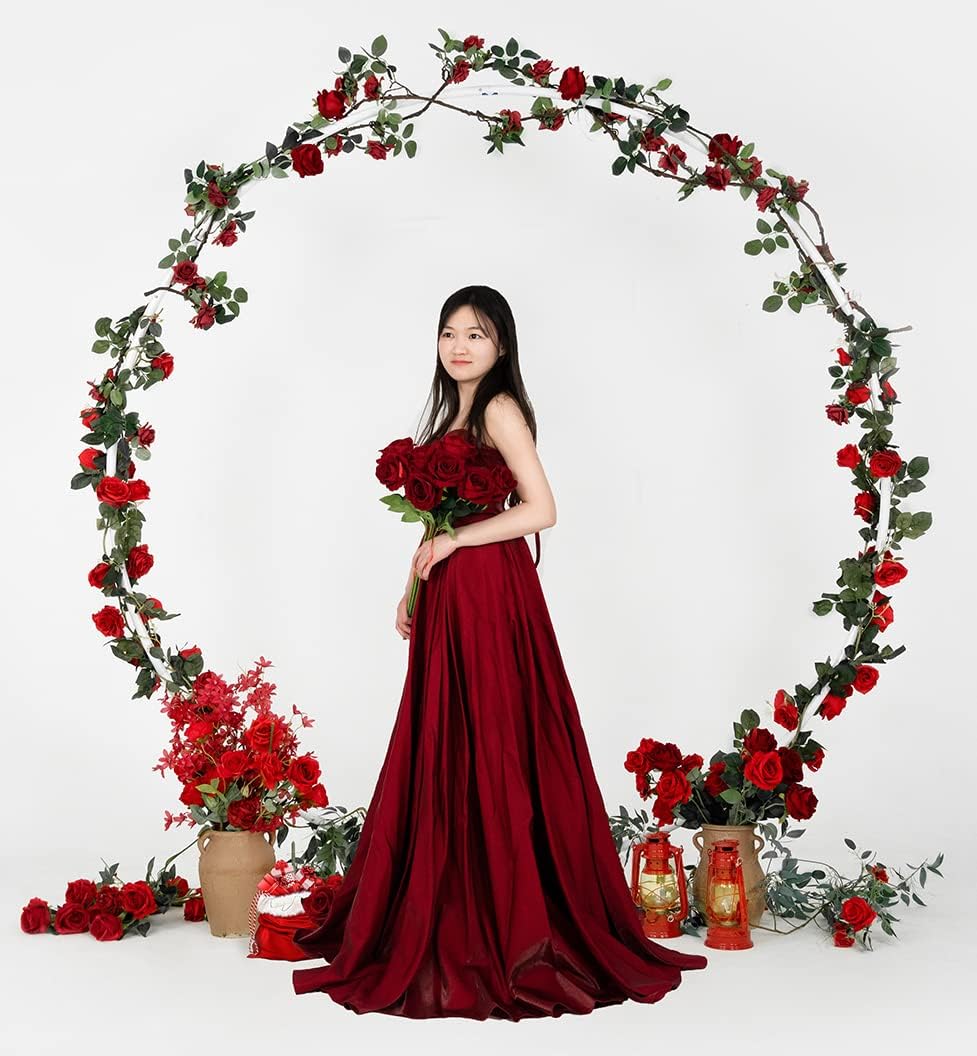 Round Backdrop Stand Circle Arch, 6.5ft White Metal Balloon Arch Kit for Party Decoration Wedding Arch Flower Ring Stand Harfirbe