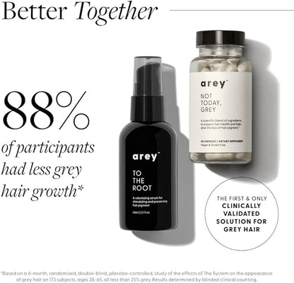 Not Today, Grey Daily Hair Supplement | Slows Grey Hair Growth & Repigment | Promotes Healthier, Thicker Hair | Biotin, B +D Vitamins & Proprietary Complex | Vegan & Gluten Free (3 Month Supply)