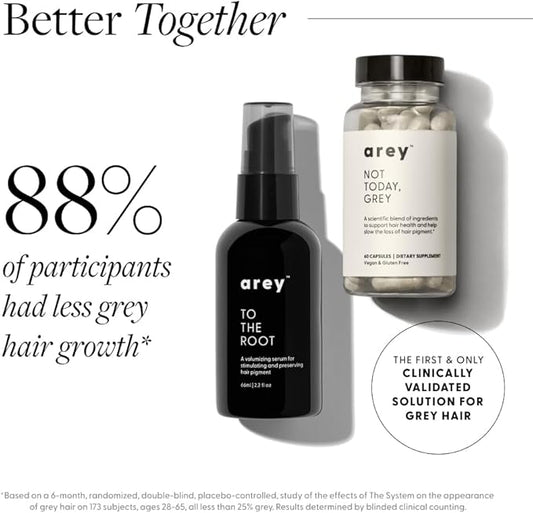 Not Today, Grey Daily Hair Supplement | Slows Grey Hair Growth & Repigment | Promotes Healthier, Thicker Hair | Biotin, B +D Vitamins & Proprietary Complex | Vegan & Gluten Free (1 Month Supply)