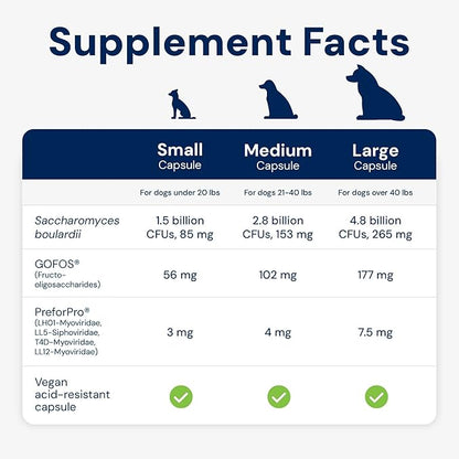 Dog Probiotics - GMP Prebiotics and Probiotics - Reduce Diarrhea Flareups - for Dogs Over 40 lbs (60 Capsules) - DoggyBiome