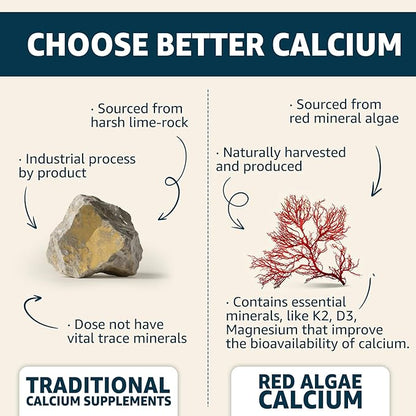 Calcium Gummies 600mg - Calcium Supplement for Women, Ocean Algae Calcium | Vitamin D3, K2, Magnesium | for Bone Strength, Muscle & Immnue | Sustainably Sourced Algae Calcium, 70+ Mineral, Vegan,2PACK