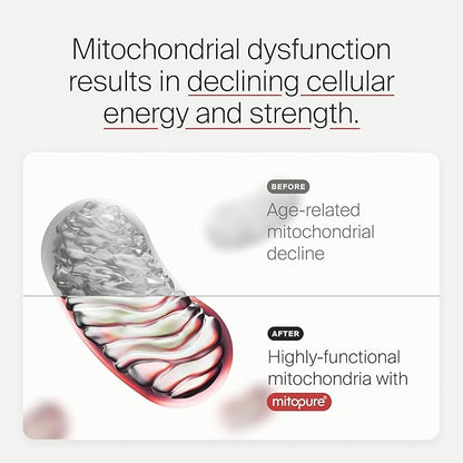 Timeline Mitopure Urolithin A Supplement Softgels - Clinically Proven Support for Healthy Aging and Cellular Renewal - Mitoceutical for Muscle Support and Longevity
