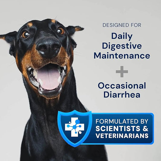 Dog Probiotics - GMP Prebiotics and Probiotics - Reduce Diarrhea Flareups - for Dogs Under 20 lbs (60 Capsules) - DoggyBiome