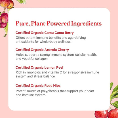 PURE SYNERGY Pure Radiance C – Organic Vitamin C Capsules | 100% Whole Food Supplement, Non-GMO, Camu Camu Extract with Natural Immune & Collagen Support – 90 Capsules