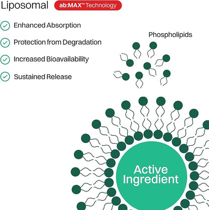 Liposomal Vitamin C Sugar-Free Gummies - 500mg, 60 Gummies, 30 Servings, Immunity Booster, Collagen Support, Antioxidant, Eco-Friendly Jar- Strawberry Guava Flavor