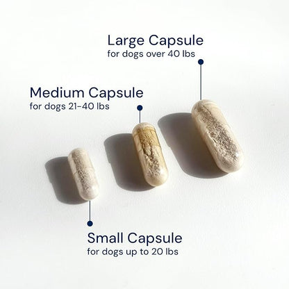 Dog Probiotics - GMP Prebiotics and Probiotics - Reduce Diarrhea Flareups - for Dogs Under 20 lbs (60 Capsules) - DoggyBiome
