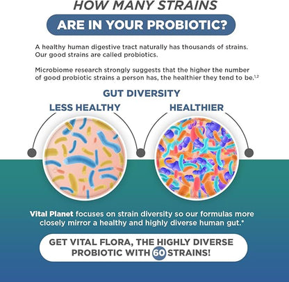 Vital Planet - Vital Flora Ultra Daily Probiotic 60 Billion CFU, 60 Diverse Strains, 7 Organic Prebiotics, Immune Support, Digestive Health Shelf Stable Probiotics for Women and Men 30 Capsules