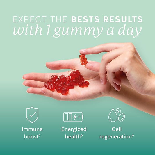 Immune Support Gummies – Vitamin C, D, B6 & B12 – Daily Immune Boost – Vegan, Naturally Flavored (30 Gummies)