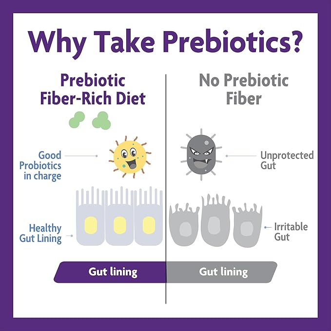 InnovixLabs Prebiotic Fiber Powder for Gut & Digestive Health, High Fiber Supplement for Women and Men with Chicory Root, FOS, Acacia, Inulin, Soluble & Insoluble Fiber, No Added Sugar, 30-Day Supply