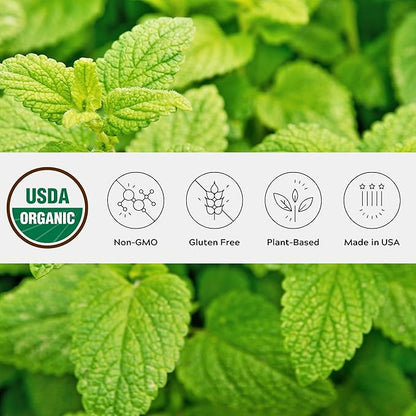 One Farm Dream Tea Sleep Powder - with USDA Organic Reishi, Tart Cherry, Chamomile, Lemon Balm, and Passionflower - 45 Servings in a Resealable Glass Jar - Soothing Chamomile Flavor