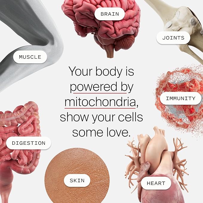 Timeline Mitopure Urolithin A Supplement Softgels - Clinically Proven Support for Healthy Aging and Cellular Renewal - Mitoceutical for Muscle Support and Longevity