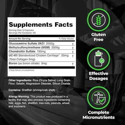 Species Nutrition Arthrolyze Joint Repair Supplement, Fortified with UC-II Collagen, MSM, Glucosamine, Chondroitin, High Potency Connective Tissue & Joint Support (300 Capsules)