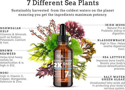 Cleanse & Renew - Liquid Superfood - Gut Health, Bloating, & Immune Support - Overall Wellness - Vegan & Gluten-Free - 30-Day Supply - Made in USA - 30-Day Supply