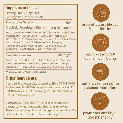Feel Good SBO Probiotics — Soil Based Organisms (SBOs), Prebiotics, Postbiotics, Humic Acid, Shilajit, Chaga & Turkey Tail Mushroom for Digestion — Solluna by Kimberly Snyder (60CT) Vegan & Non-GMO