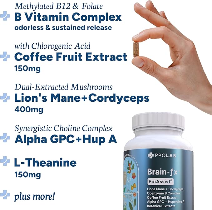 Brain-fx™ Focus Memory Nootropic Energy Brain Supplement, Lions Mane Extract, L Theanine, B Complex Methyl B12 5MTHF, Alpha GPC, Bacopa, Ginseng, Cordyceps, Huperzine A BDNF Factor, 120 Count